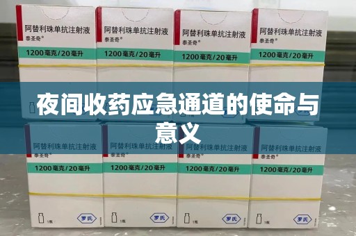 九江夜间收药应急通道的使命与意义