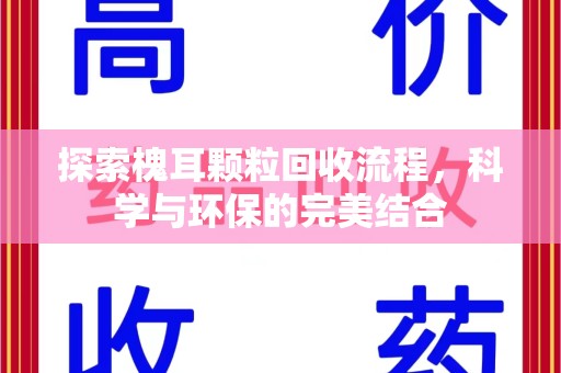 九江探索槐耳颗粒回收流程，科学与环保的完美结合