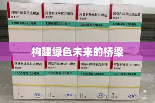 九江构建绿色未来的桥梁