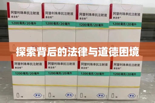 九江探索背后的法律与道德困境
